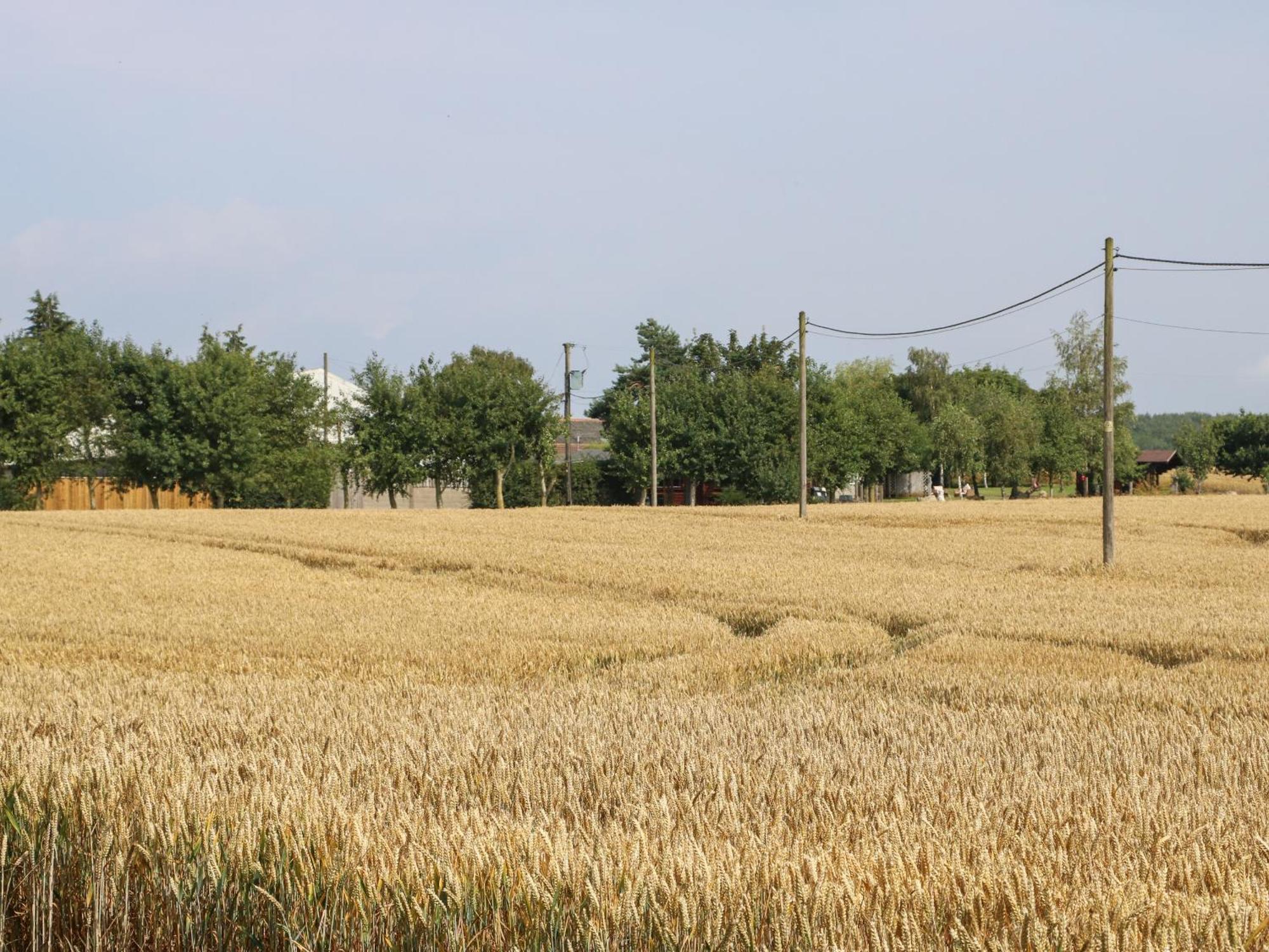 Cornfield Βίλα Northallerton Εξωτερικό φωτογραφία